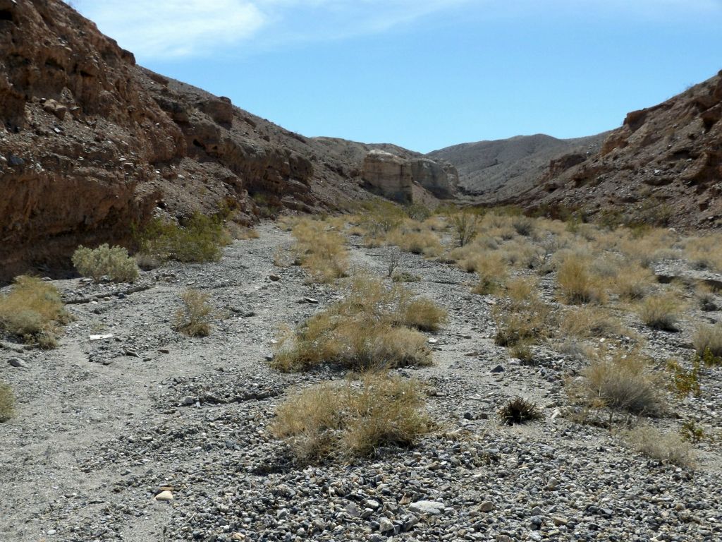 Lower Telephone Canyon is fairly wide open with sloping hillsides dropping into the wash: