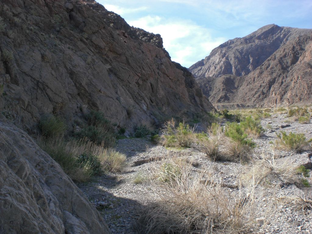 The early part of Trellis Canyon.  It's a short walk until both walls come together and form the true canyon: