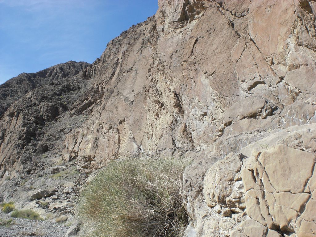 A rock wall with cracks throughout rises out of the wash: