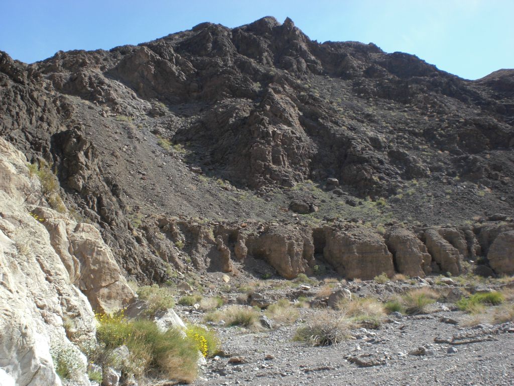 More wildflowers and fluted mud cliffs are visible:
