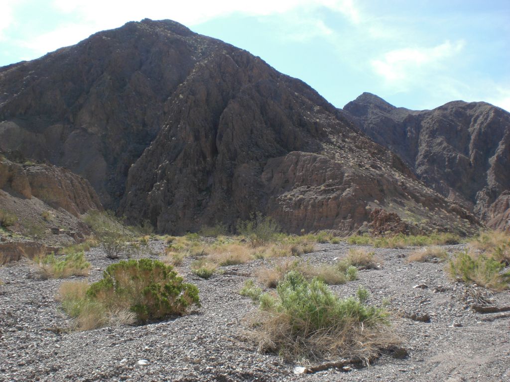 This is the canyon split, about one mile into the canyon.  The main canyon turns to the right, while the Trellis Main Side Canyon turns off to the left: