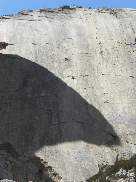 The Trellis Slickenside is high up on the canyon walls and is almost like its own rock slab: