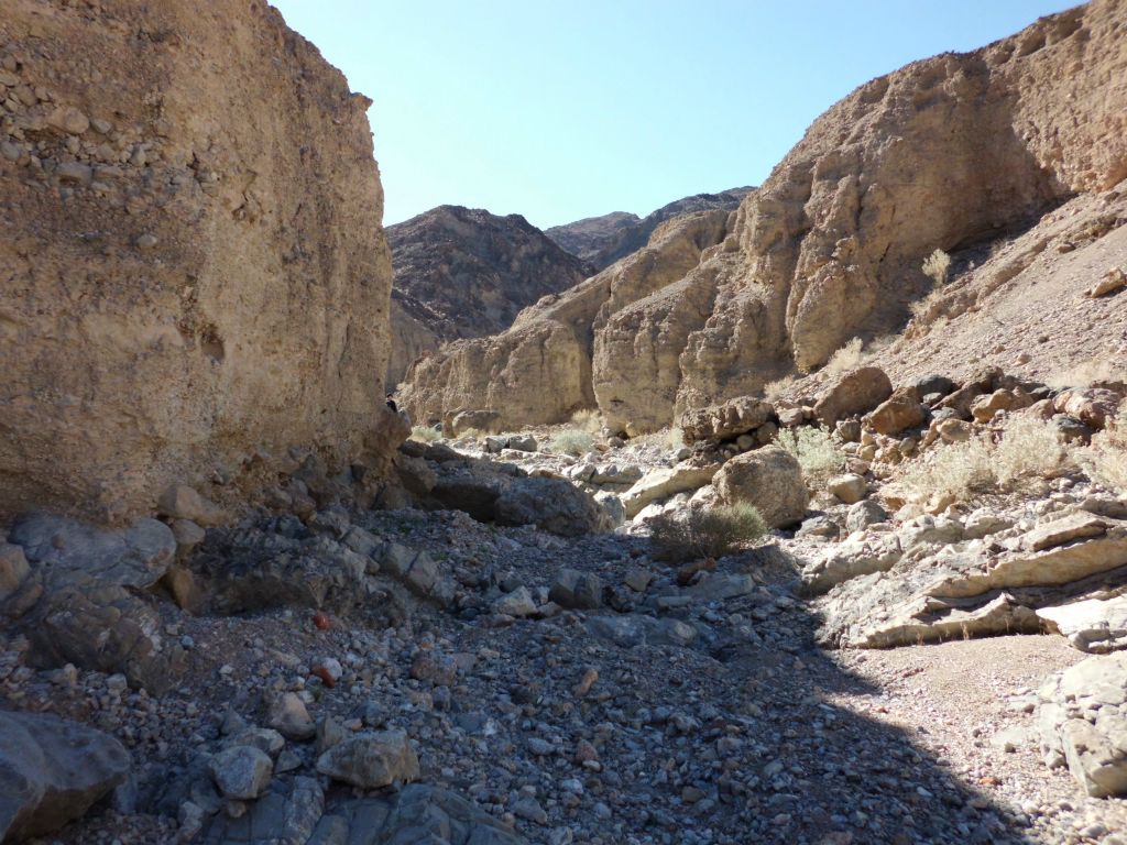 But we made it and are now back down in Tucki Bridge Canyon:
