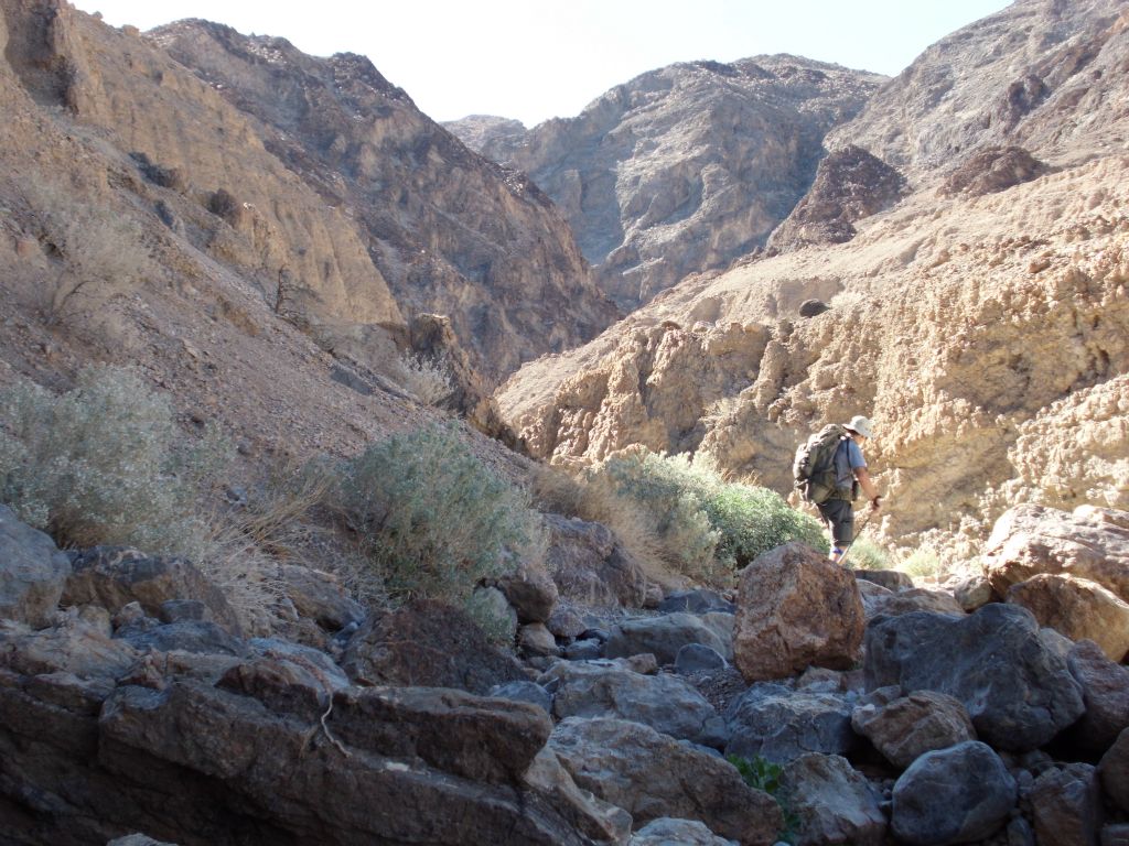 This part of the canyon remained narrow but was more wide open above: