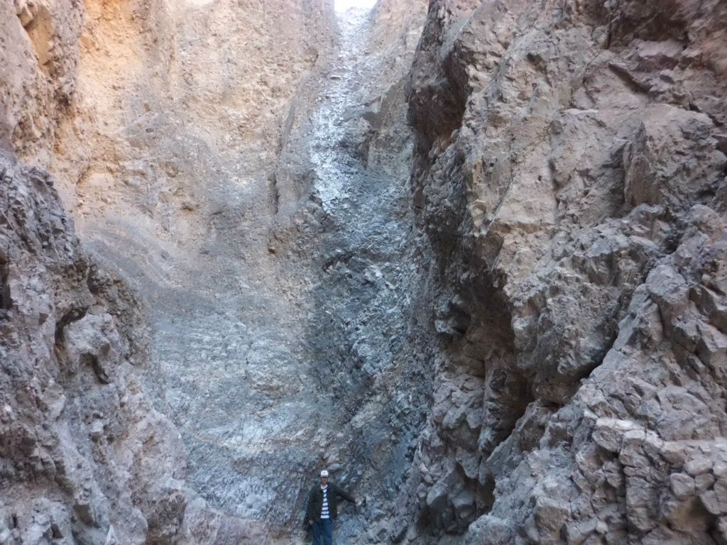 Two pictures with Steve at the base for a height comparison: