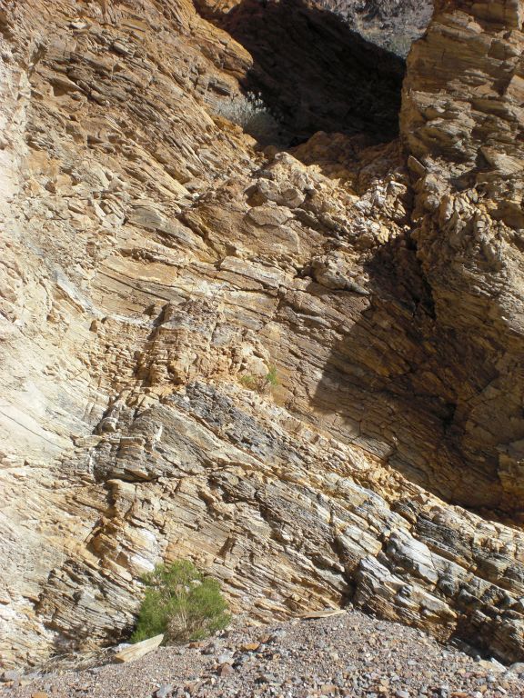 Once I was on the canyon floor, I looked back at the dry fall which had to be down climbed to get in here.  It was medium difficulty.  Some hikers may have problems with this one: