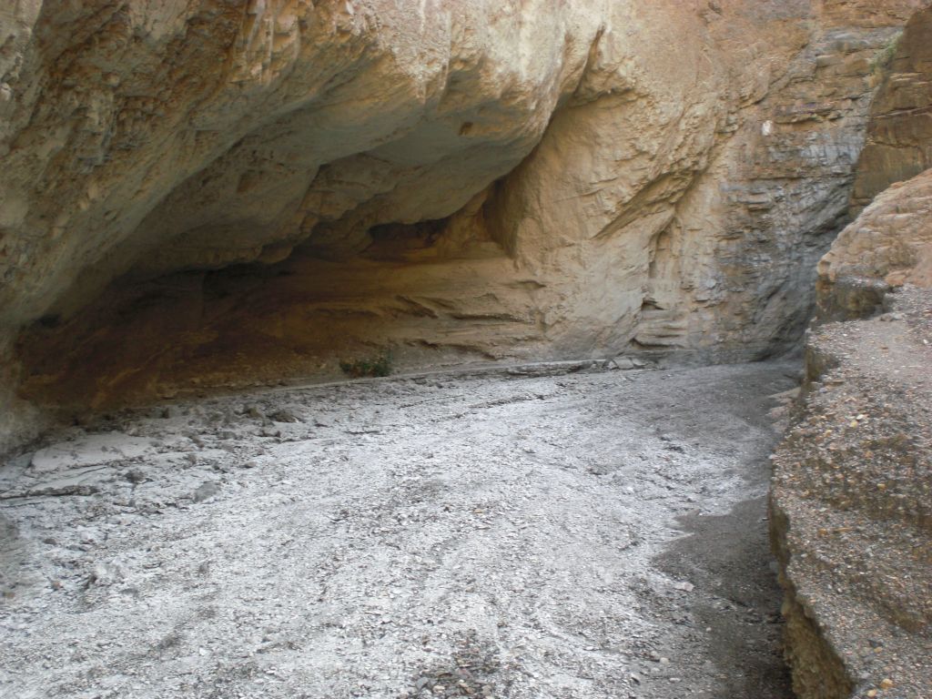 Flash flood water flow has undercut the canyon wall on the left side here: