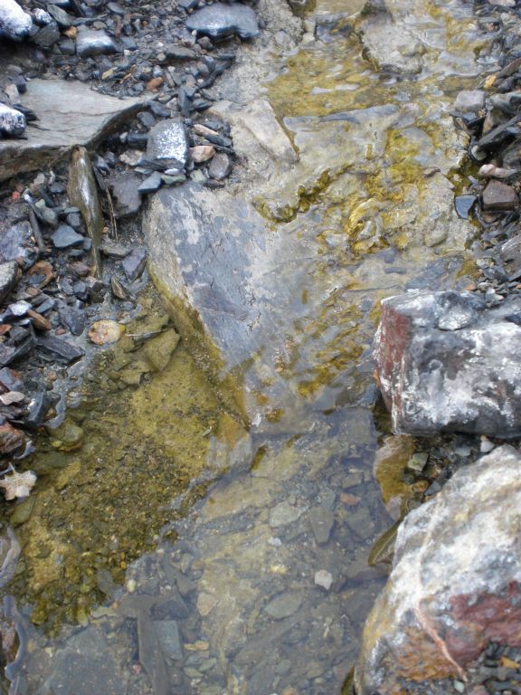 When the side canyon reached a junction, I turned left and found running water from Twin Springs: