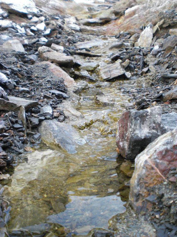 Notice that there is plenty of surface water here for Bighorn sheep or thirsty hikers who have brought a water filter: