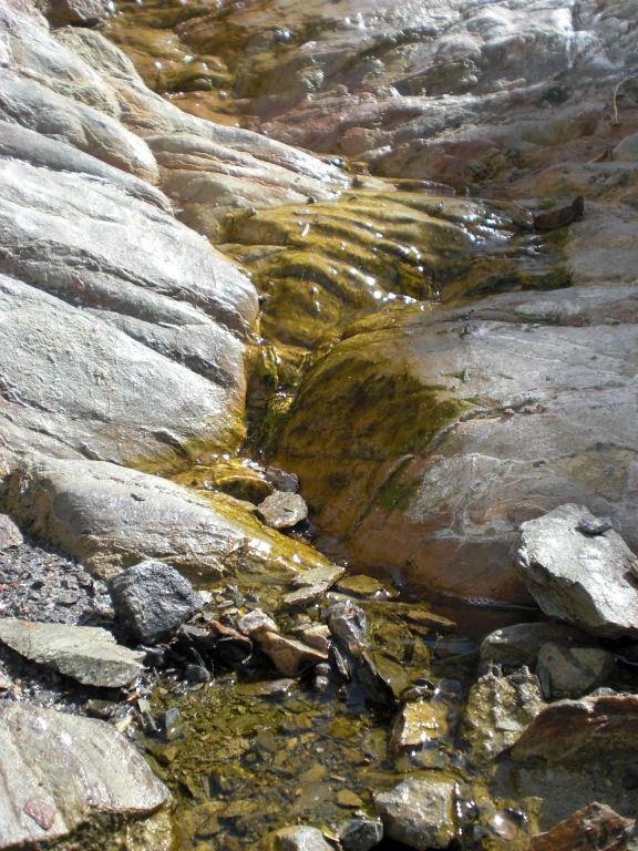 A good amount of water flowing down the rocks.  It was definitely surprising to see so much flowing water up above Mosaic Canyon: