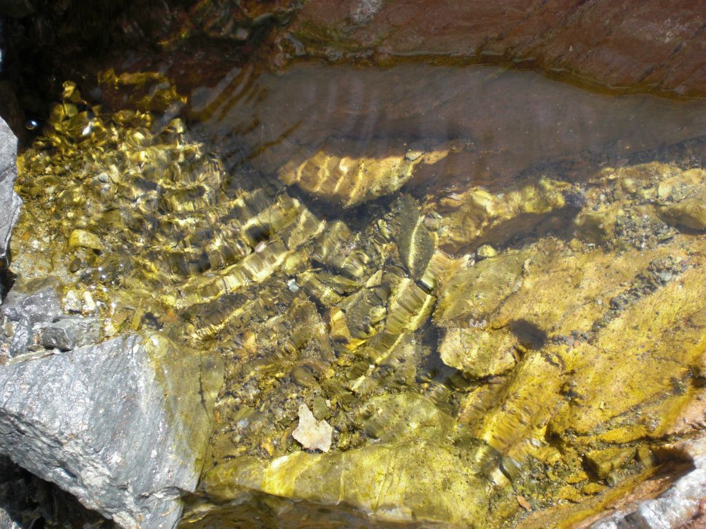A small pool filled up pretty good with fresh drinking water: