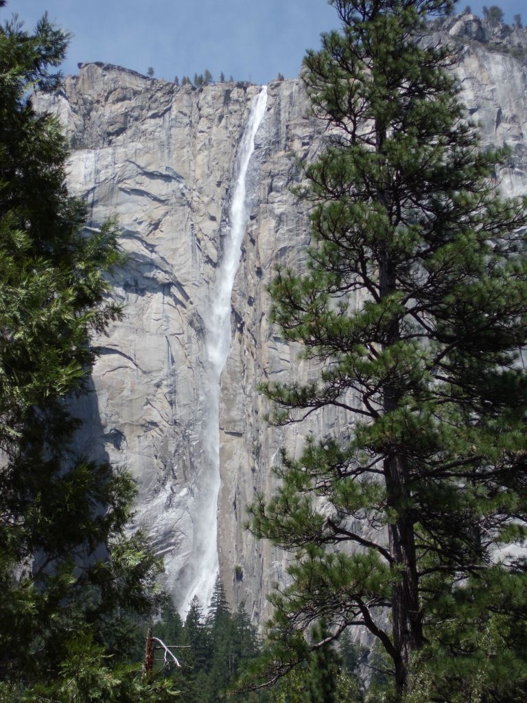 We parked near the signpost V9 just past El Capitan Meadow and began hiking past a locked gate and up an old road where firewood is stored.  This was our view from that road of Ribbon Fall: