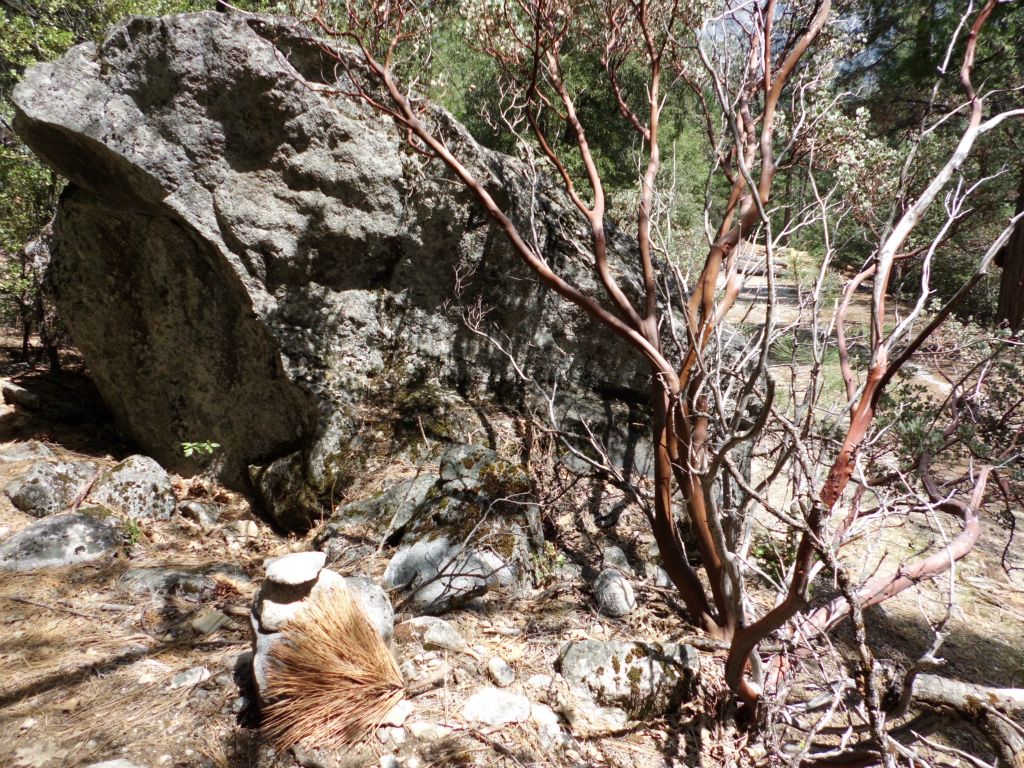 Just before the road ended (and Old Big Oak Flat Road continues as the Rockslides Trail), we turned off at this spot and began hiking on the informal Ribbon Fall trail: