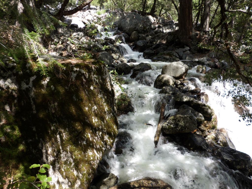 The trail eventually turns right and reaches the edge of Ribbon Creek, which is then followed uphill for a while: