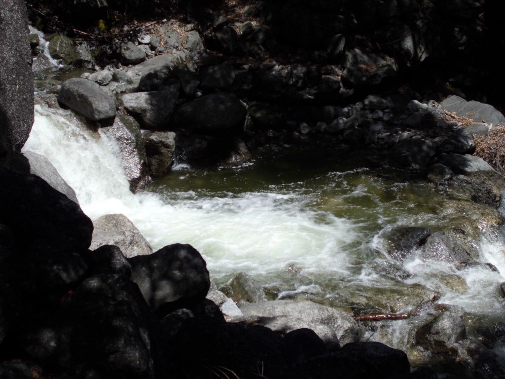 The trail made its way back over to Ribbon Creek once again: