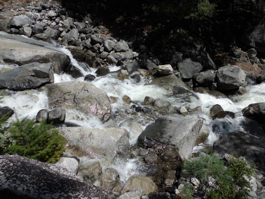 One last look at the creek before continuing up the trail: