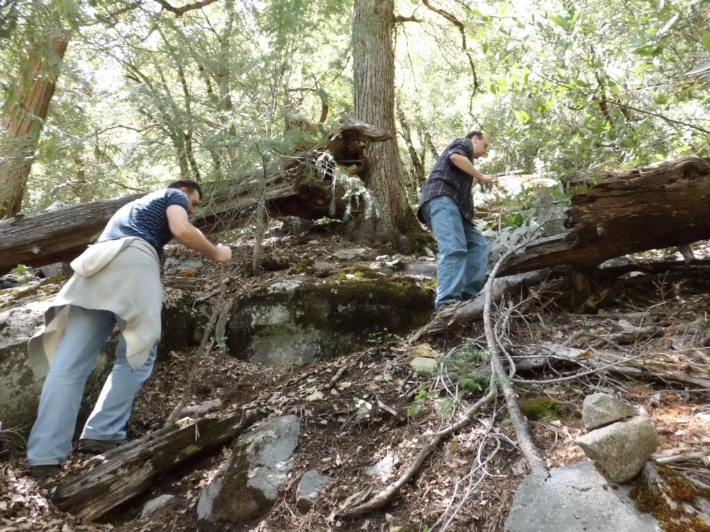 This is when the trail got even steeper and featured a lot of dirt switchbacks: