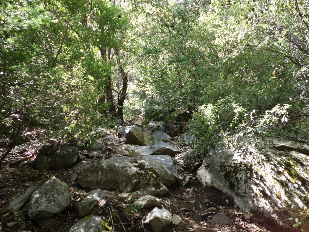 Continuing along the dirt trail in the next two pictures: