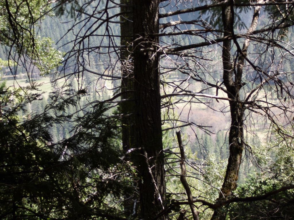 A view of Yosemite Valley below reveals that we are gaining a good amount of elevation: