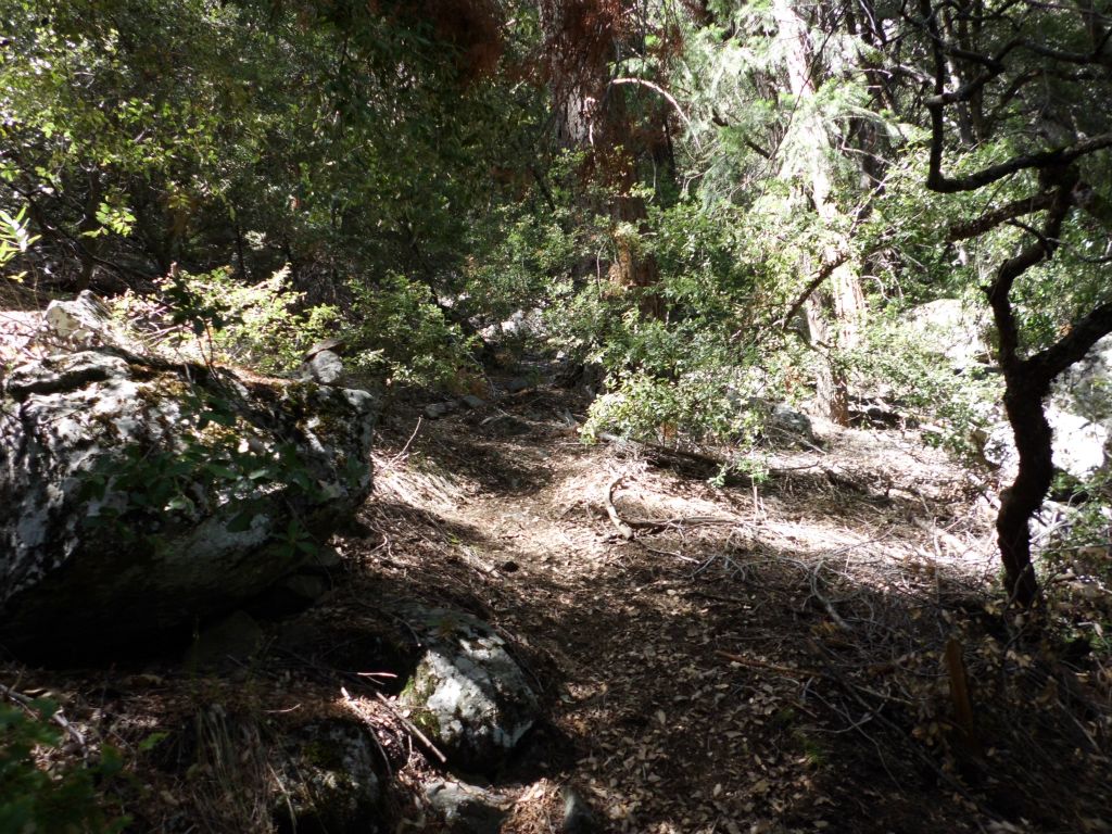 The trail continued to be easy to follow.  In fact, we didn't get lost once all day.  From what we have heard, other hiking groups have not been as fortunate:
