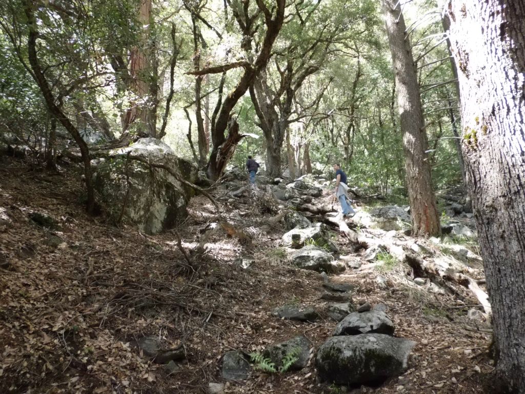 Pushing on through the forest on a nice Spring day:
