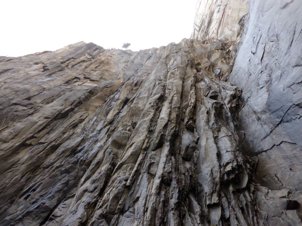 This is looking up the wall which is opposite of Ribbon Fall: