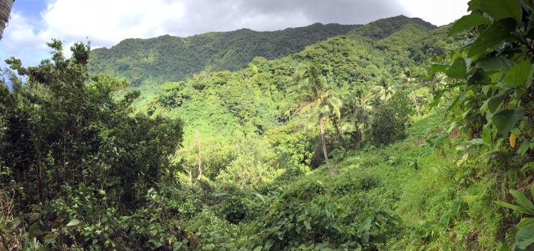 Panoramic view of the ridgelines to the east