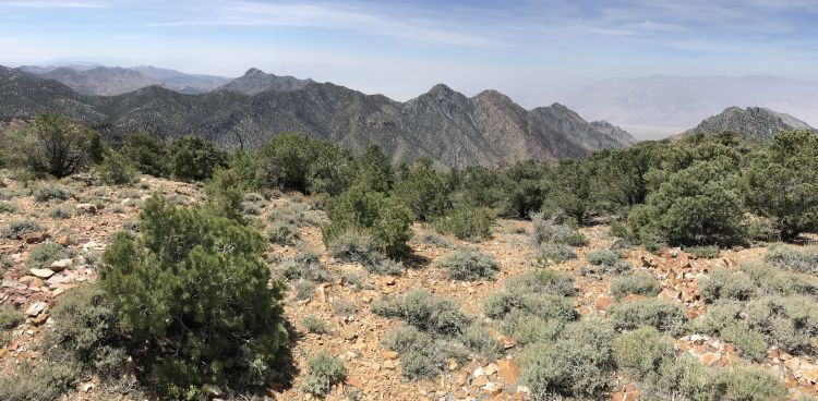 Grapevine Peak southern panoramic