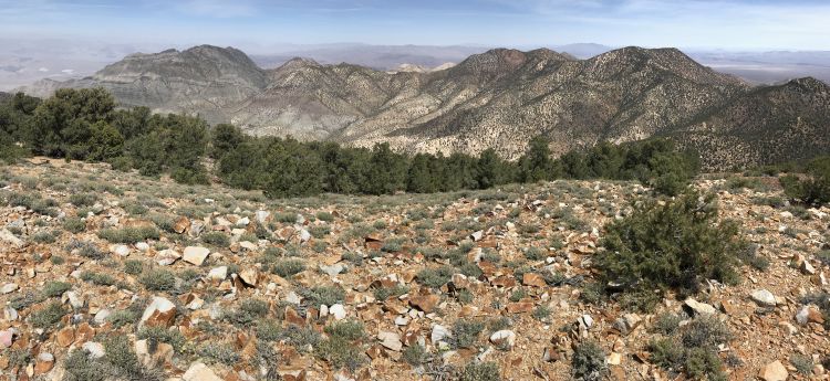 Grapevine Peak northern panoramic