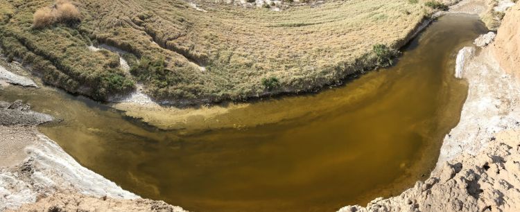 Third large pond panoramic